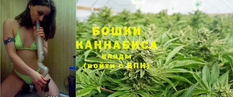 Канабис THC 21%  цена наркотик  Андреаполь 